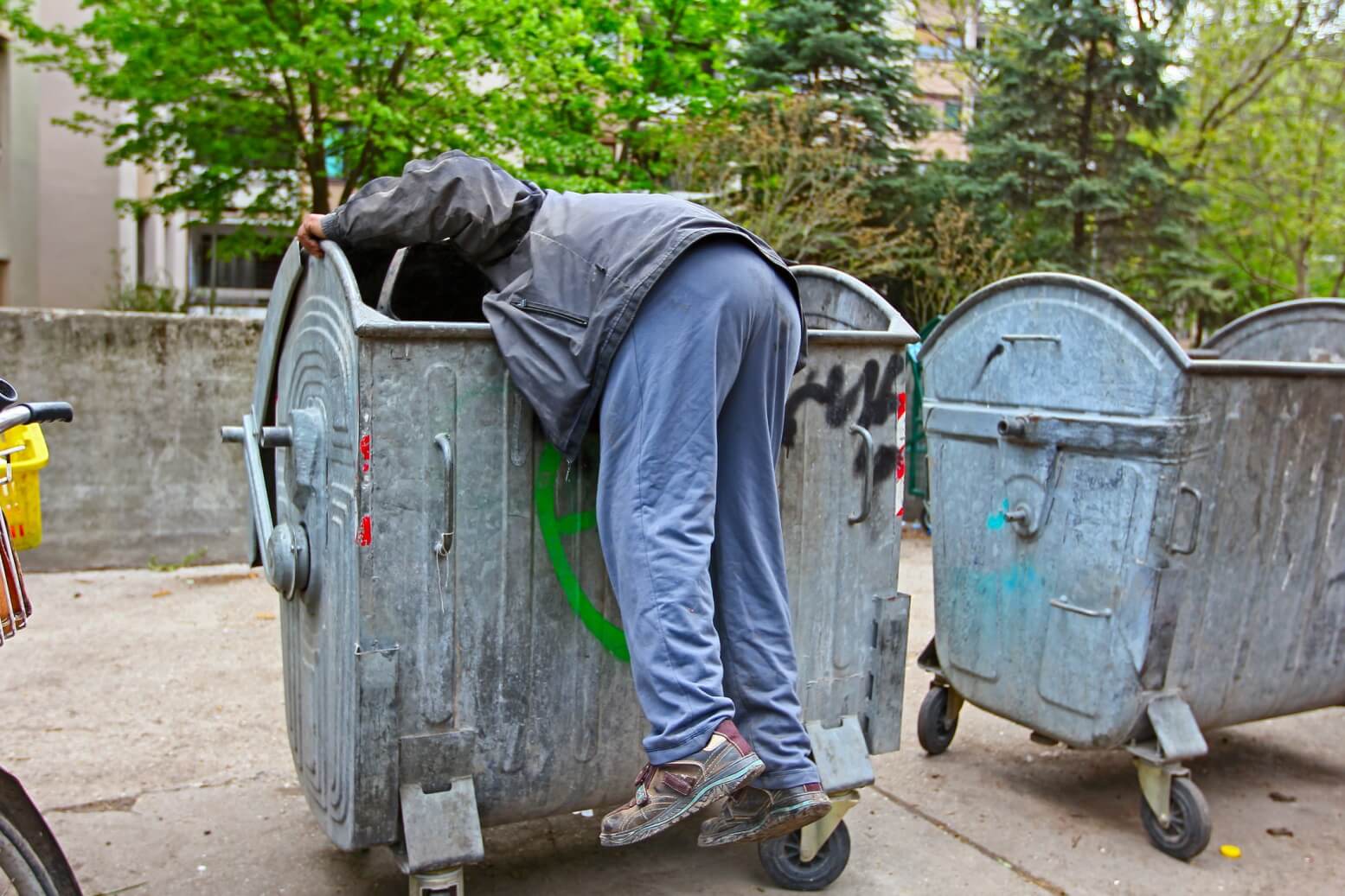 dumpster Diving